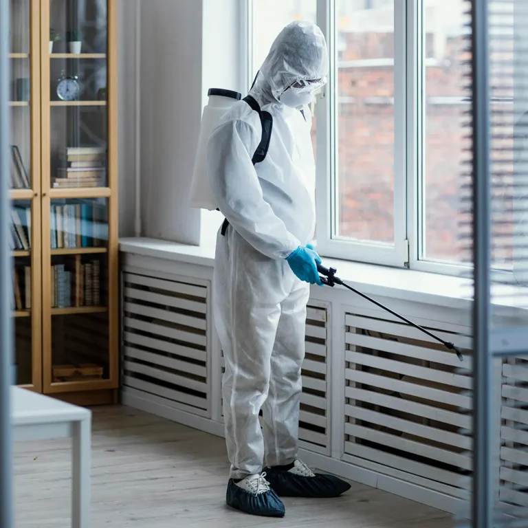 Pest Control Singapore