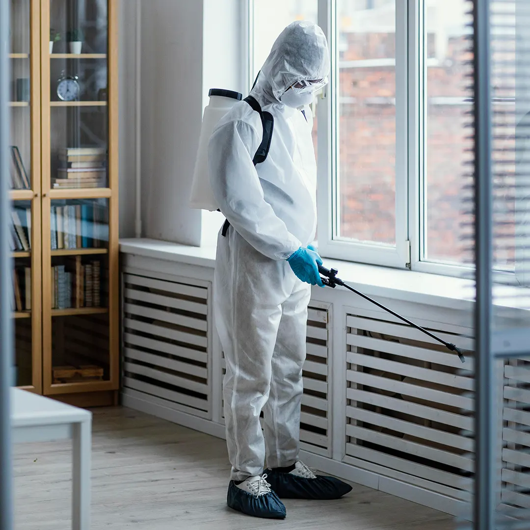 Pest Control Singapore